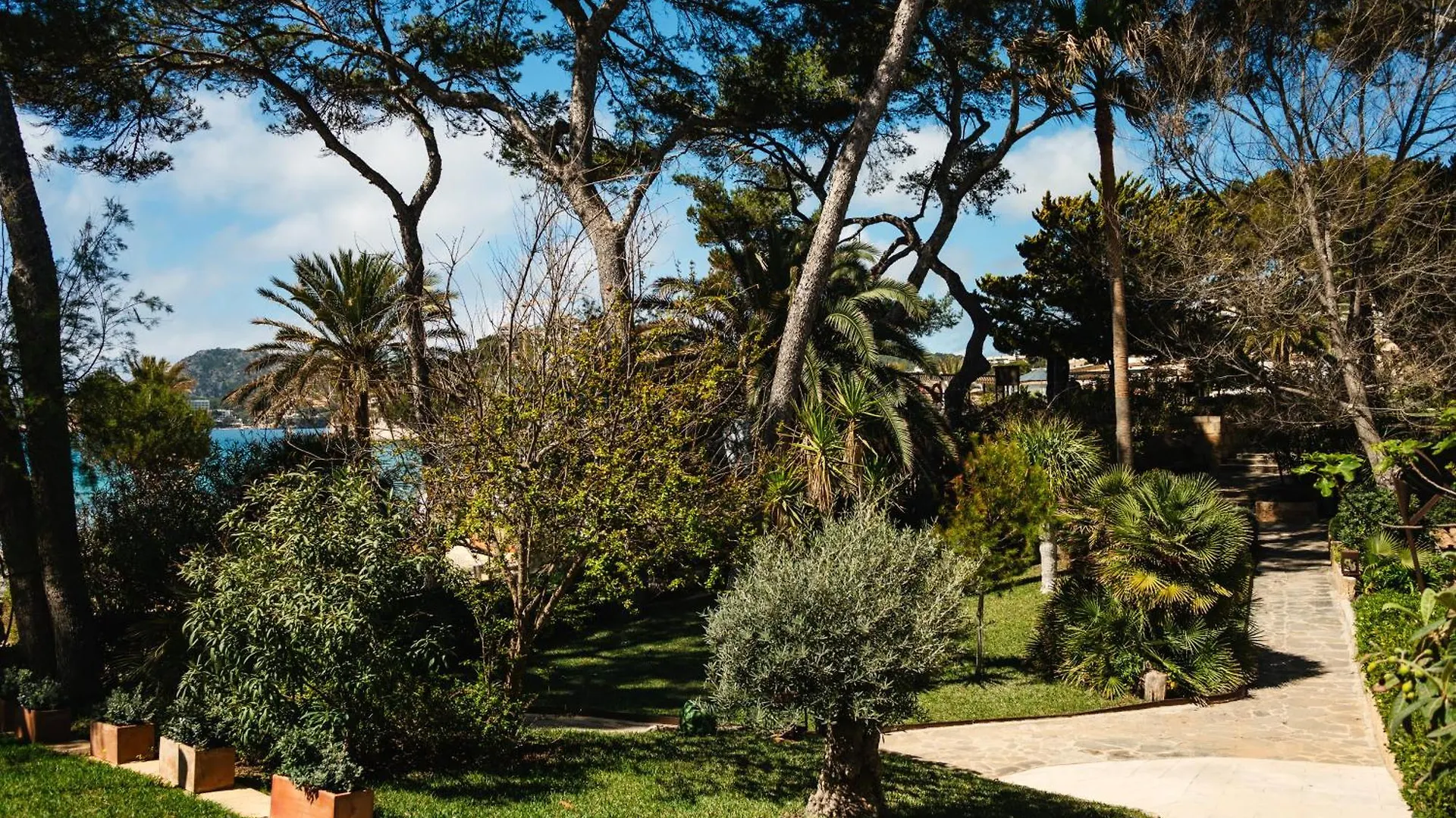 Secrets Mallorca Villamil Resort & Spa - Adults Only Peguera Spain
